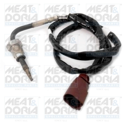 Sensor, exhaust gas temperature